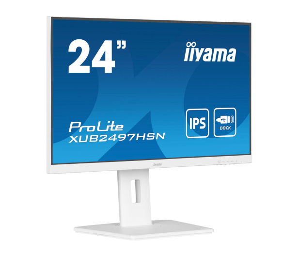 IIYAMA ProLite XUB2497HSN-W2 - 1284777 - zdjęcie 3
